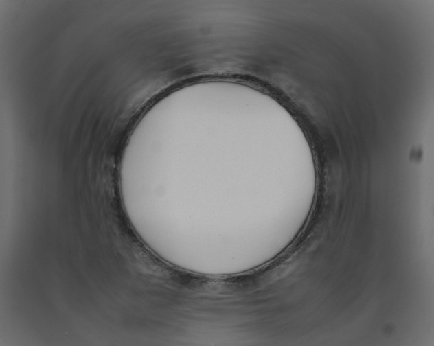 X0000092091265200710101053