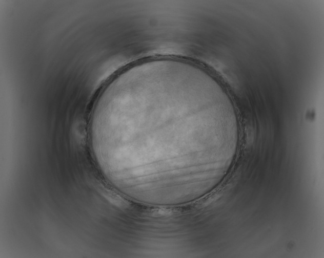 X0000092091266200710101053