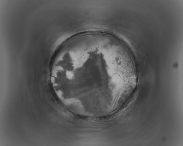 X0000092091267200710101053