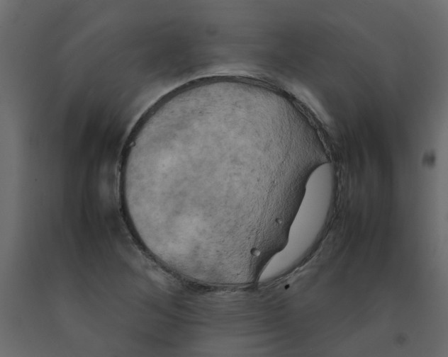 X0000092091268200710101053