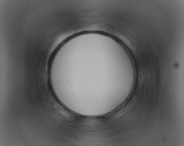 X0000092091270200710101053