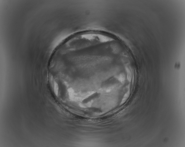 X0000092091271200710101053