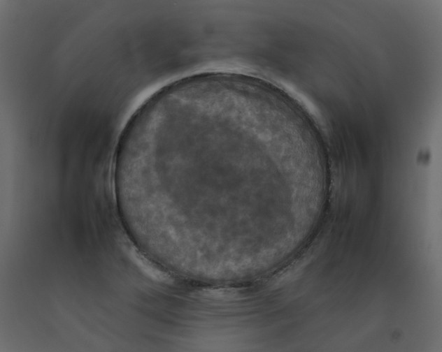 X0000092091272200710101053