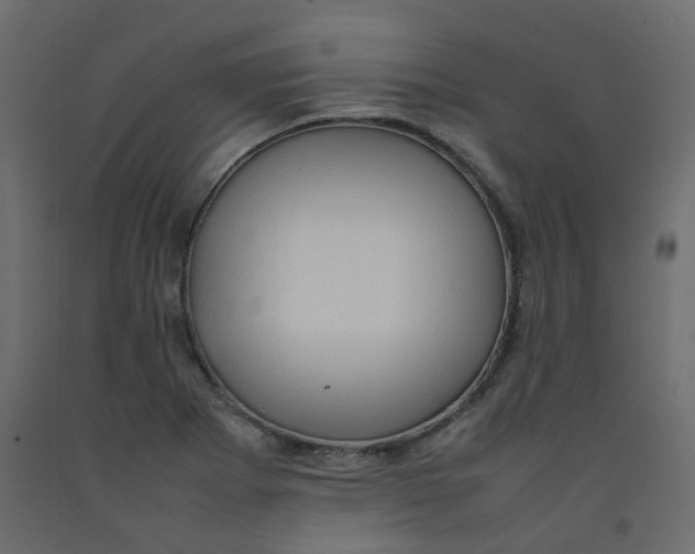 X0000092091273200710101053