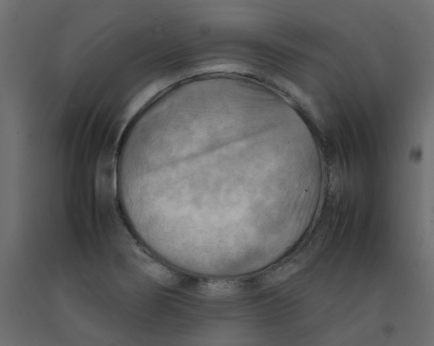 X0000092091274200710101053