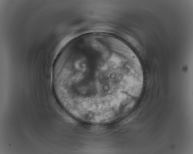 X0000092091275200710101053