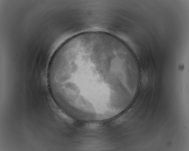 X0000092091278200710101053