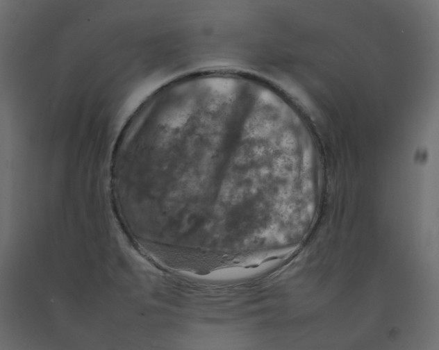 X0000092091279200710101053