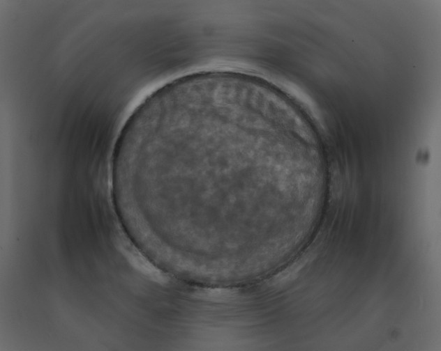 X0000092091280200710101053