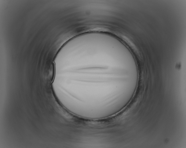 X0000092091281200710101053