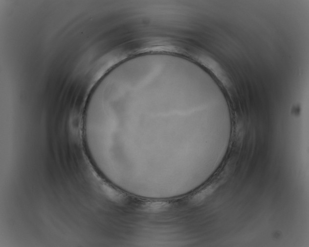 X0000092091282200710101053