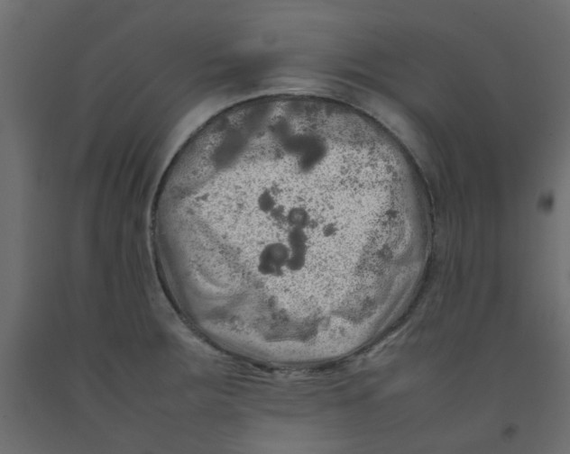 X0000092091283200710101053