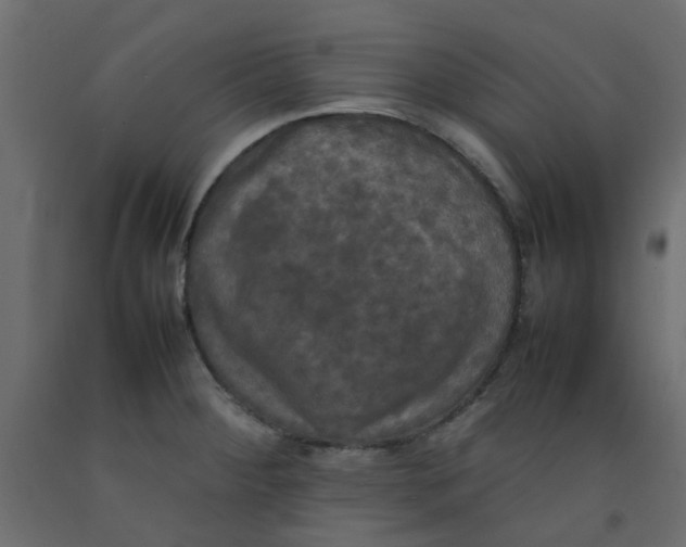 X0000092091284200710101053