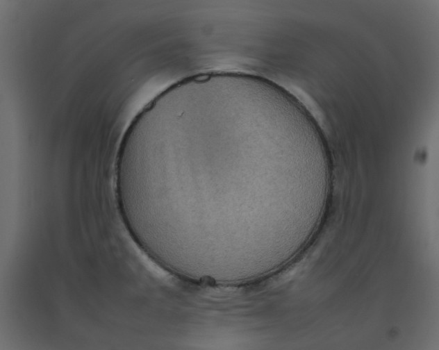 X0000092091285200710101053