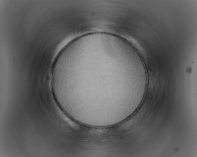 X0000092091286200710101053