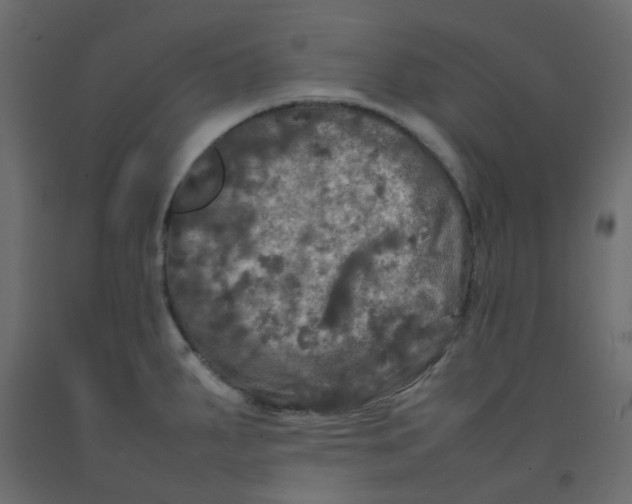 X0000092091287200710101053