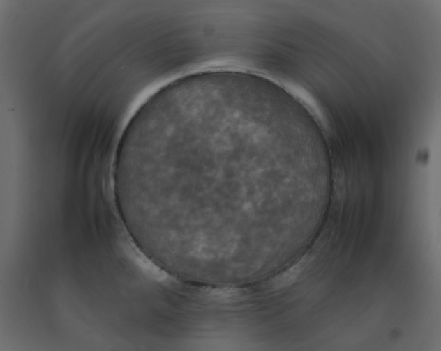 X0000092091288200710101053