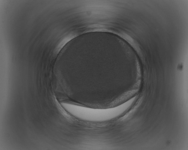 X0000092091289200710101053