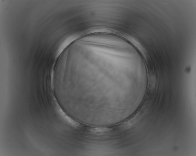 X0000092091290200710101053