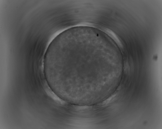 X0000092091292200710101053