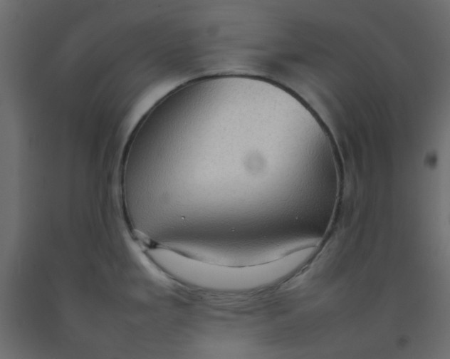 X0000092091293200710101053