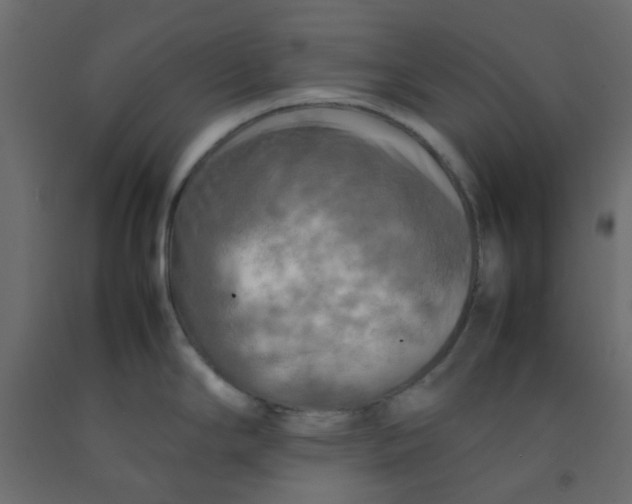 X0000092091294200710101053