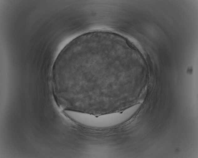 X0000092091295200710101053