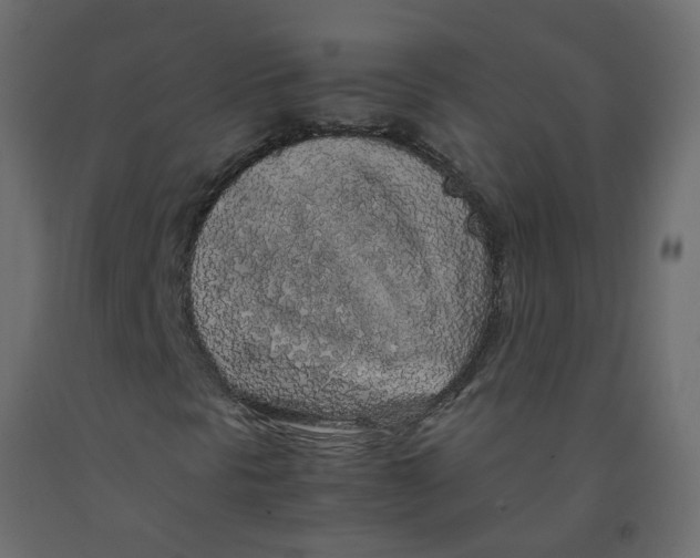 X0000092091297200710101052