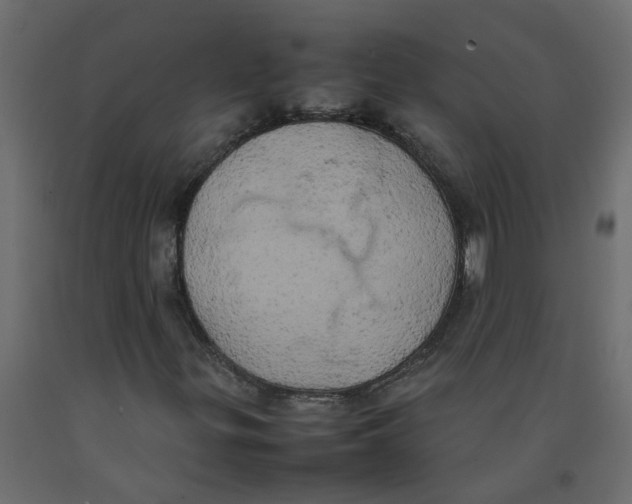 X0000092091299200710101052