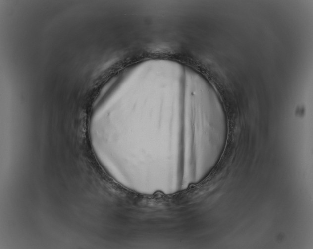 X0000092091301200710101052