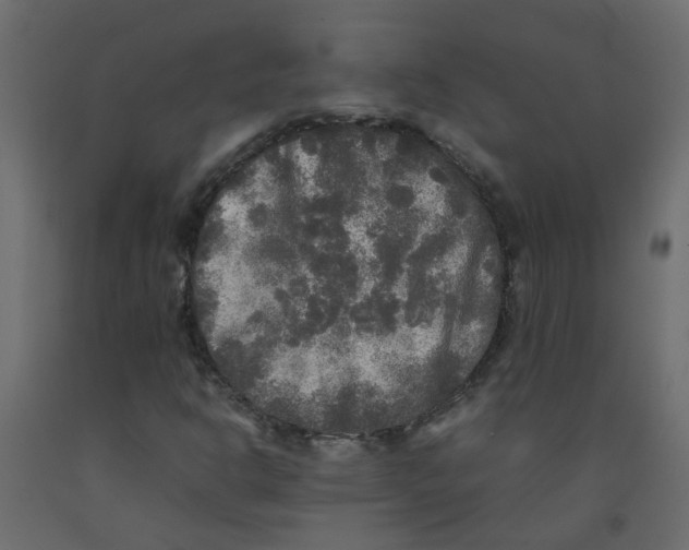 X0000092091302200710101052