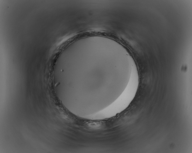 X0000092091303200710101052