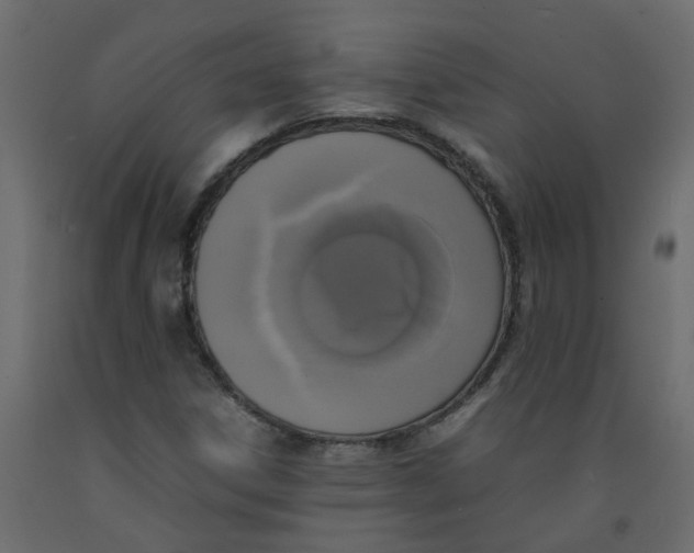 X0000092091306200710101052