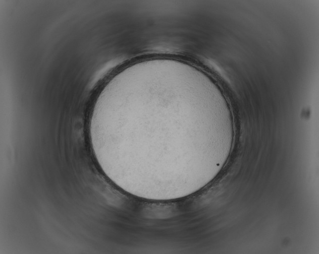 X0000092091307200710101052