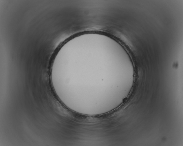 X0000092091308200710101052