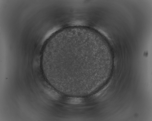 X0000092091309200710101052