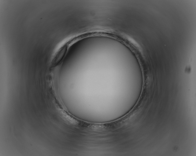 X0000092091310200710101052