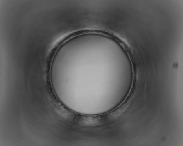 X0000092091311200710101052