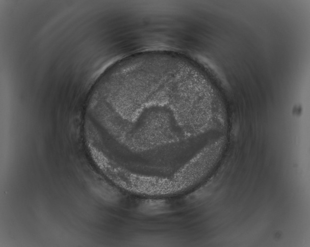 X0000092091313200710101052