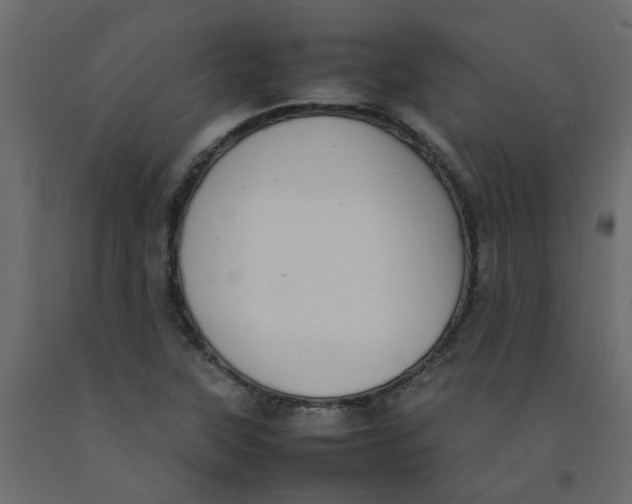 X0000092091315200710101053