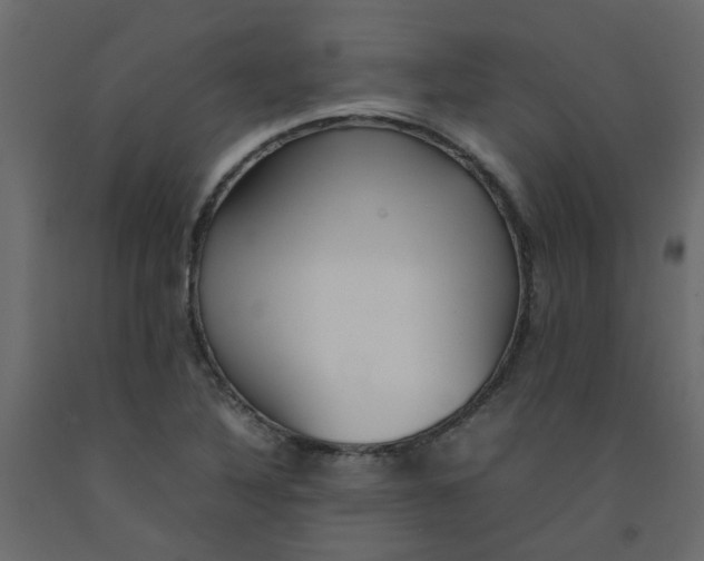 X0000092091316200710101053