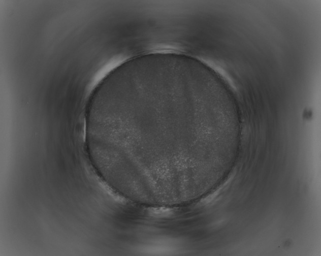 X0000092091317200710101053