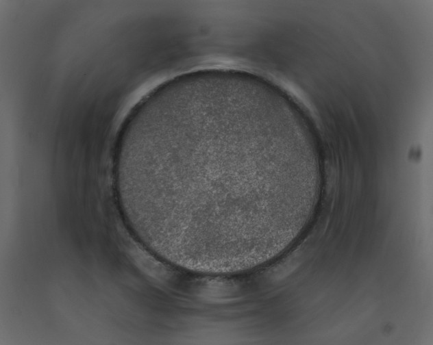 X0000092091318200710101053