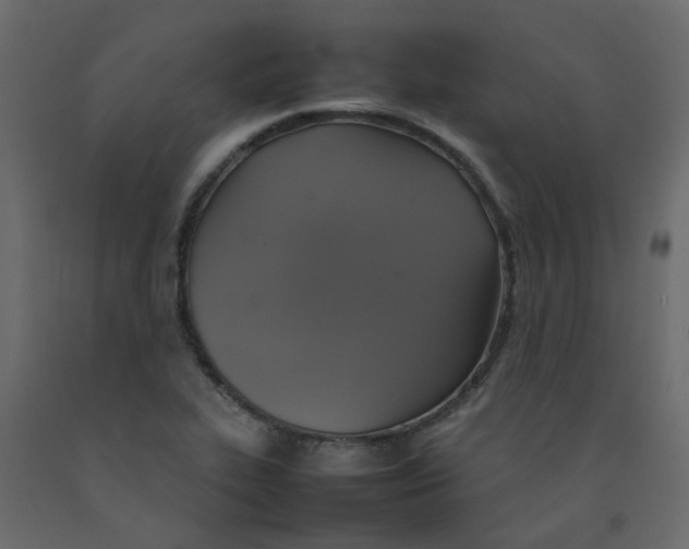 X0000092091319200710101053