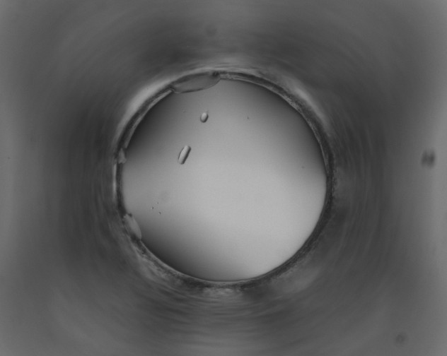 X0000092091320200710101053