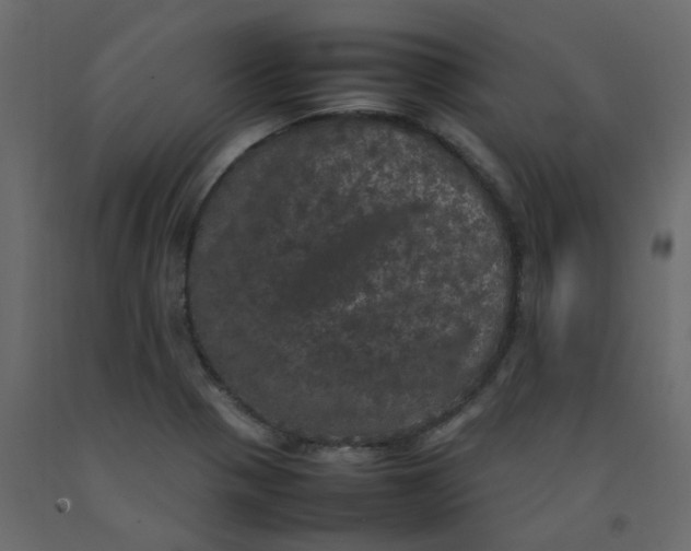 X0000092091321200710101053