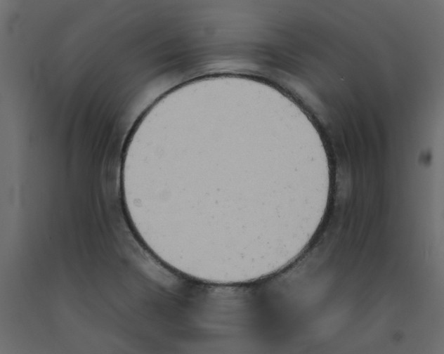 X0000092091322200710101053