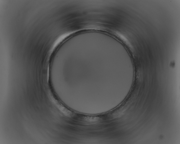 X0000092091323200710101053