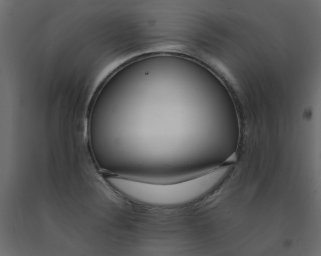 X0000092091324200710101053