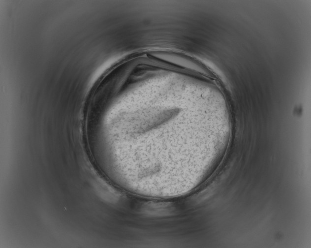 X0000092091325200710101053